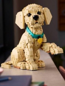 Новинки квітня 2026 року