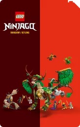 NINJAGO®