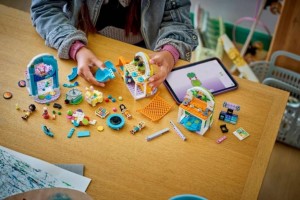 Конструктор LEGO® Friends Веселий критий ігровий майданчик Конструктор LEGO® Friends Веселий критий ігровий майданчик